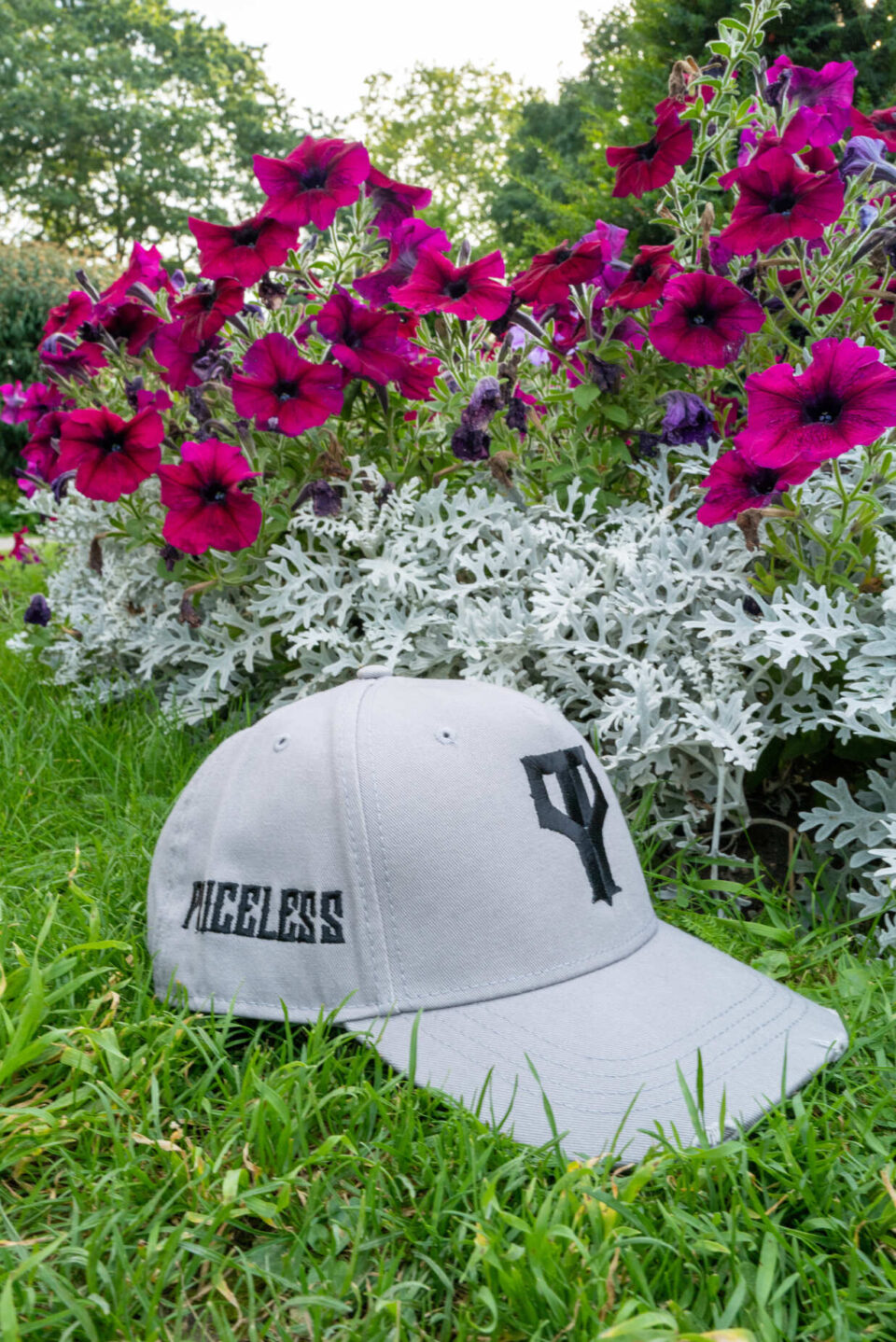 PP logo fitted cap Grey x Black