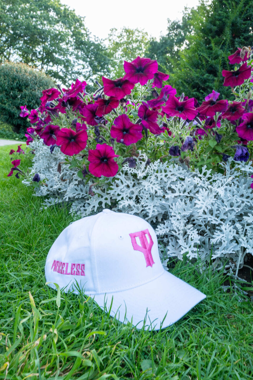 PP logo fitted cap White x Pink