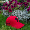 PP logo fitted cap Red x Black