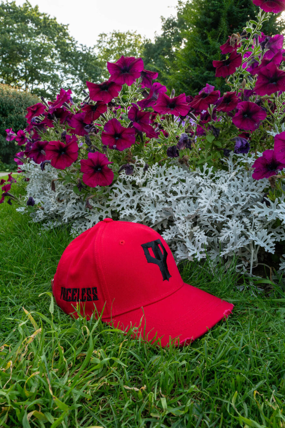 PP logo fitted cap Red x Black