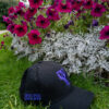 PP logo fitted cap Black x Purple