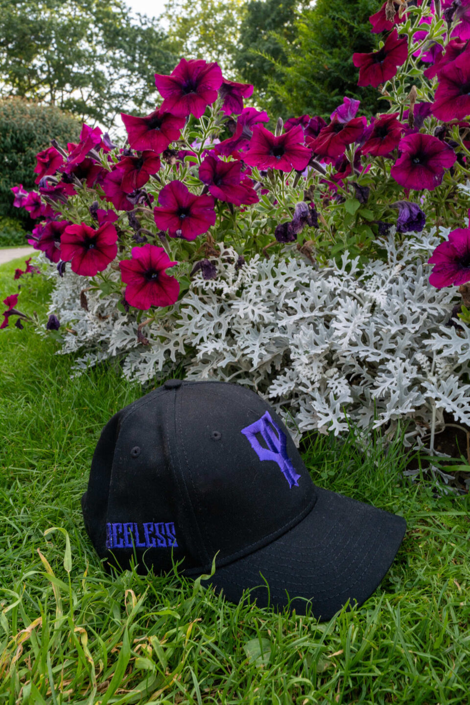 PP logo fitted cap Black x Purple