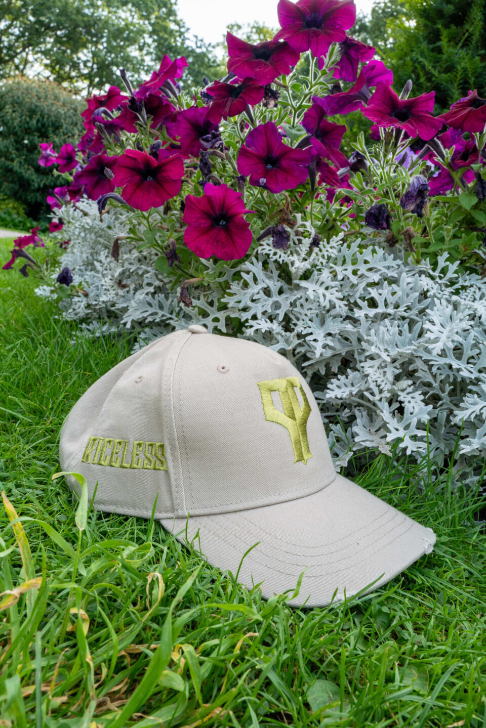 PP logo fitted cap Grey x Green